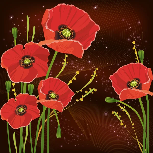 Beautiful red poppies background — Stock Vector