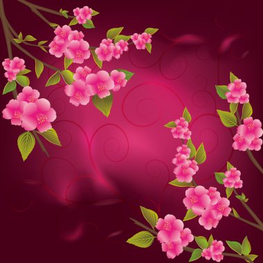 Beautiful sakura background clipart