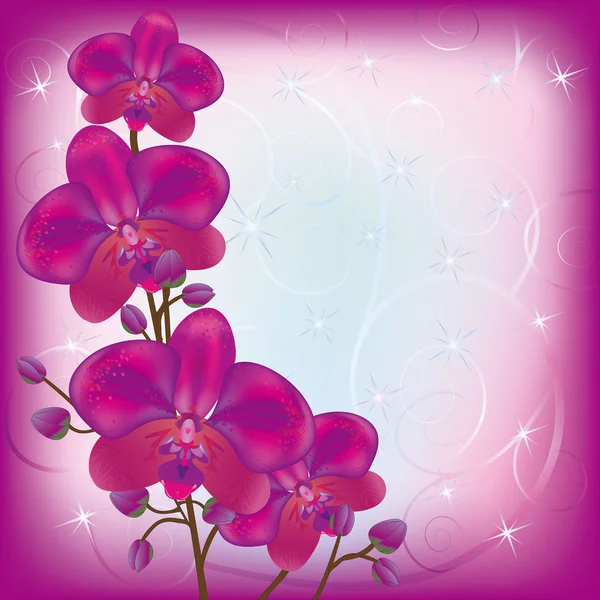グリーティング カードの蘭の花 — ストックベクタ