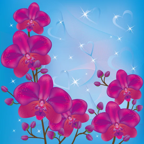 Bright background orchids — Stock Vector