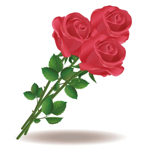 Аромат красных роз — стоковый вектор