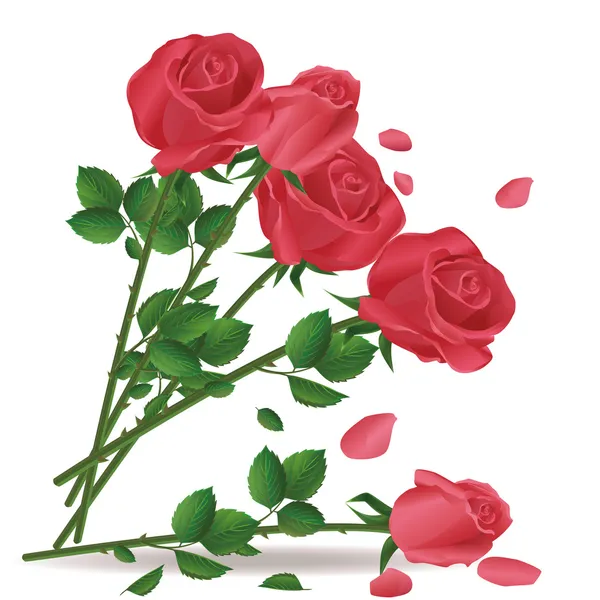 赤いバラの立ち下がりの花束 — ストックベクタ