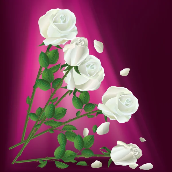 Fallende weiße Rosen — Stockvektor