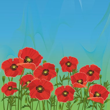 Floral blue-green background with red poppies clipart