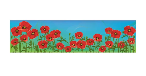 Floral έμβλημα με κόκκινες παπαρούνες σε μπλε φόντο, πρότυπο — Διανυσματικό Αρχείο
