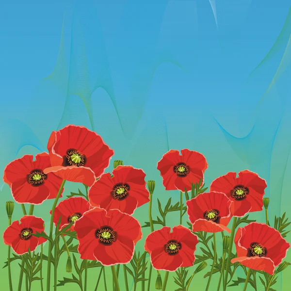 Blumen blau-grünen Hintergrund mit roten Mohnblumen — Stockvektor
