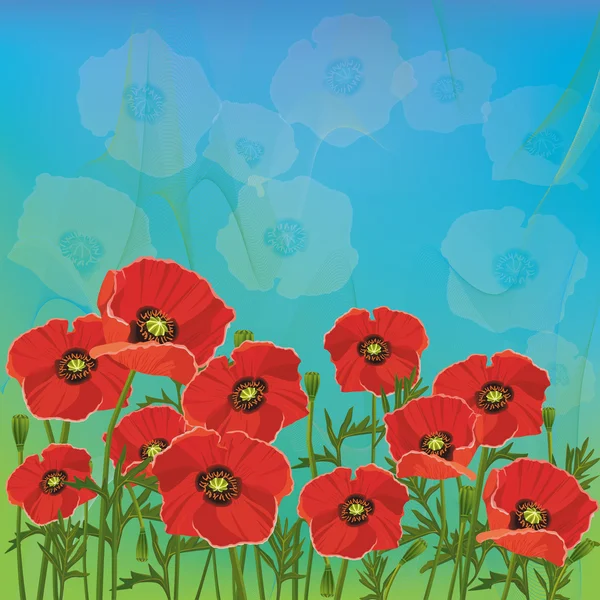 Floraler Hintergrund mit roten Mohnblumen — Stockfoto