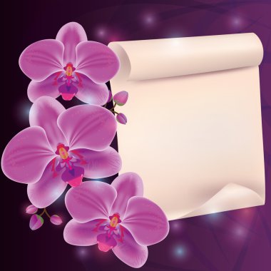 Greeting card with exotic flower orchid and paper - place for text clipart