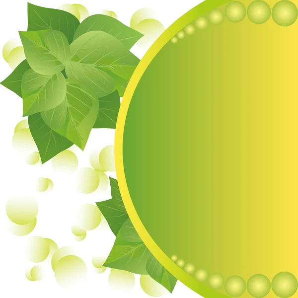 Eco background with fresh green leaves and sun — Stock Vector