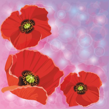 Greeting or invitation cards with red poppies clipart