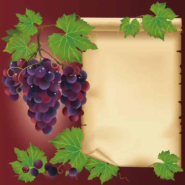 A fekete szőlő és a régi papír - hely a szöveg háttér — Stock Vector