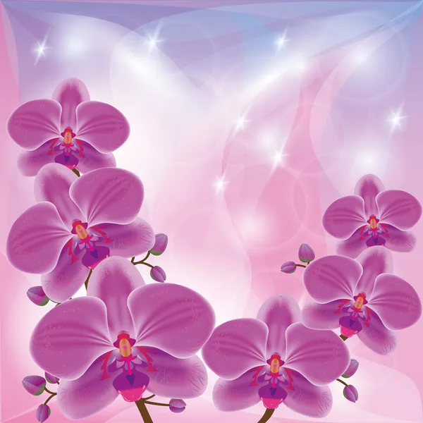 Floraler Hintergrund mit exotischen Blumen Orchideen — Stockvektor