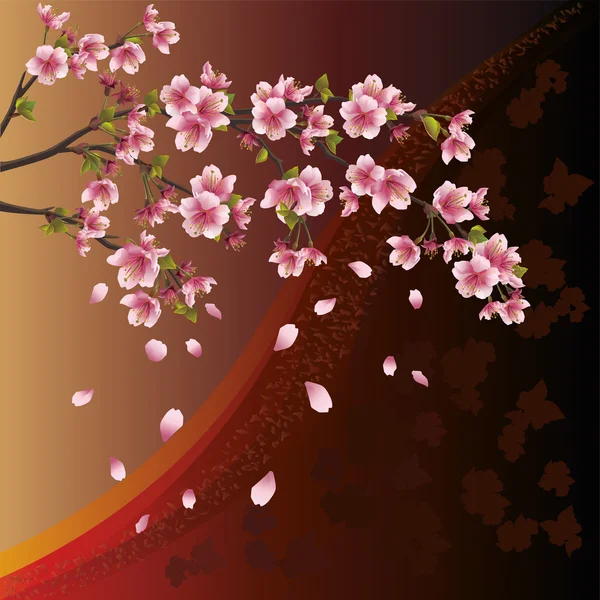 Fundo com flor de sakura - cerejeira japonesa — Vetor de Stock