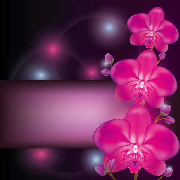 Mor orkide arka planda, selamlama veya davetiye kartı — Stok Vektör