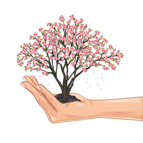 拿樱桃树开花的手 — 图库矢量图片