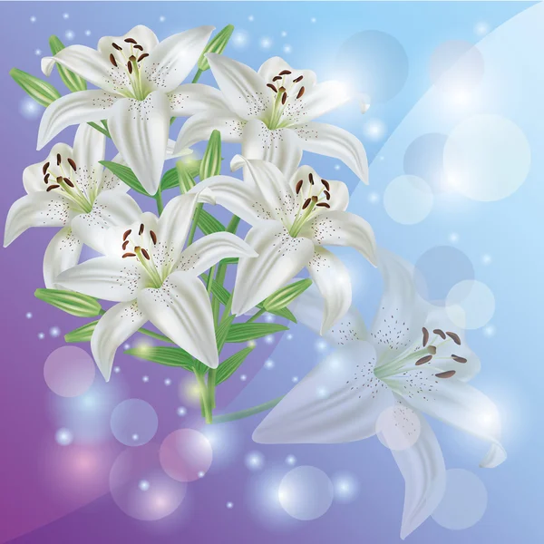 Biała lilia kwiat tło, zaproszenia okolicznościowe lub karty — Zdjęcie stockowe