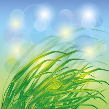 Spring background with fresh green grass clipart