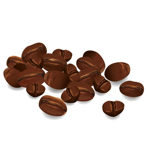 コーヒー豆のベクトル — ストックベクタ