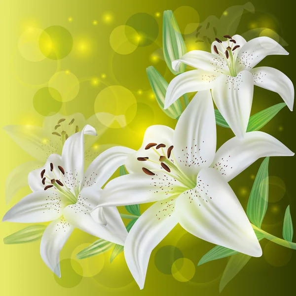 Blomma lily bakgrund, inbjudan eller gratulationskort — Stock vektor