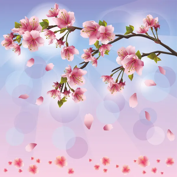 Fundo de primavera com flor de sakura - cerejeira japonesa — Vetor de Stock