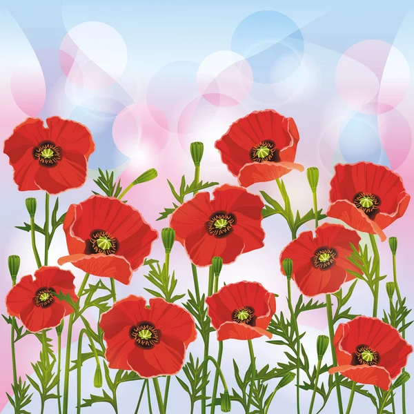Floral achtergrond met rode papavers — Stockvector