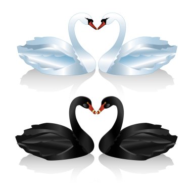 Set of white and black swans clipart