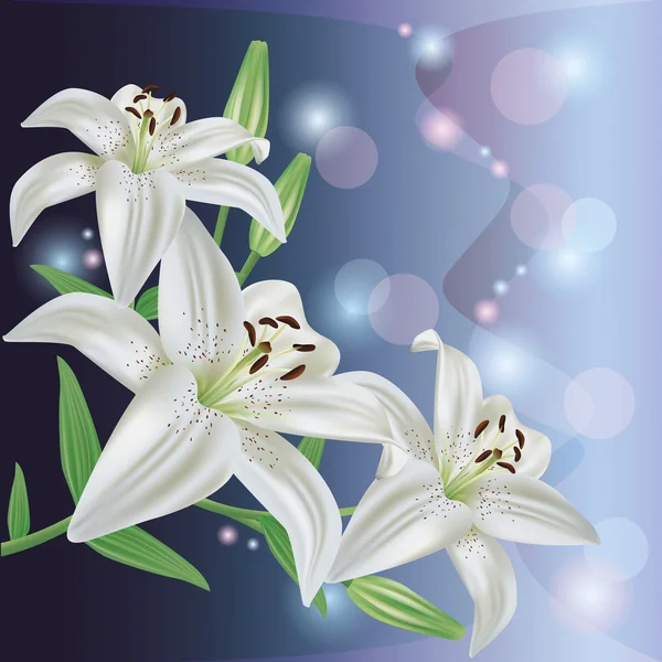 Hälsning eller inbjudan kort med lily flower, vektorgrafik — Stock vektor