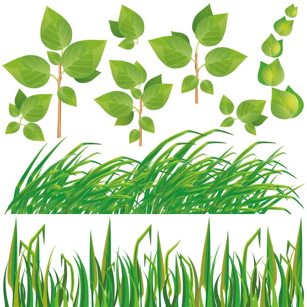 Set of green leaves and grass — Stock Vector
