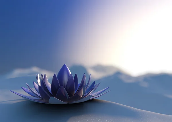 Hiver zen fleur — Photo