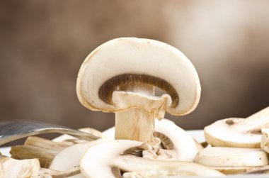Champignon mushrooms clipart