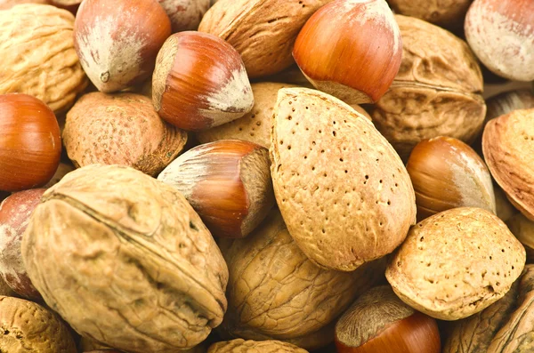 Mix nuts — Stock Photo, Image