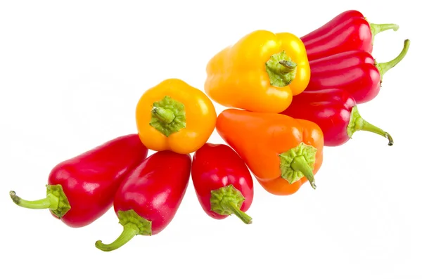 stock image Colored pepper