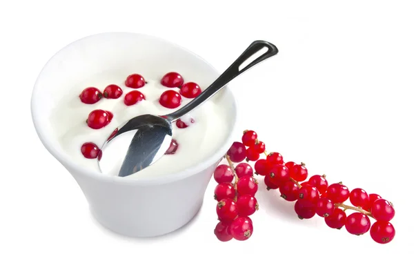 Joghurt und rote Johannisbeeren — Stockfoto