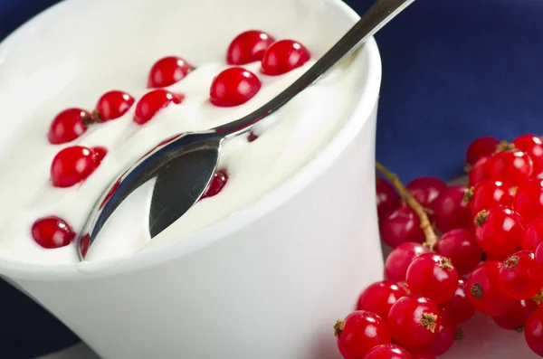 Joghurt und rote Johannisbeeren — Stockfoto