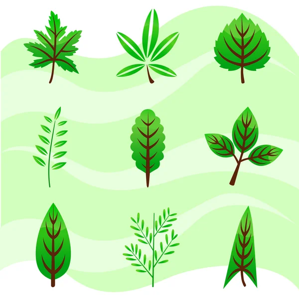 Set di foglie — Vettoriale Stock