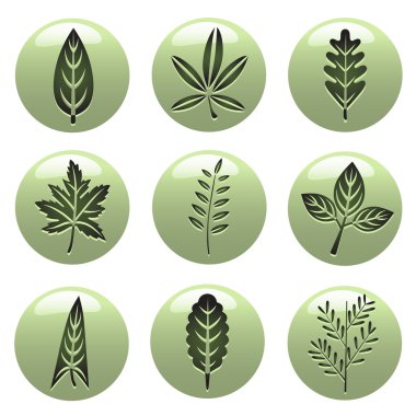 Leaf icons clipart