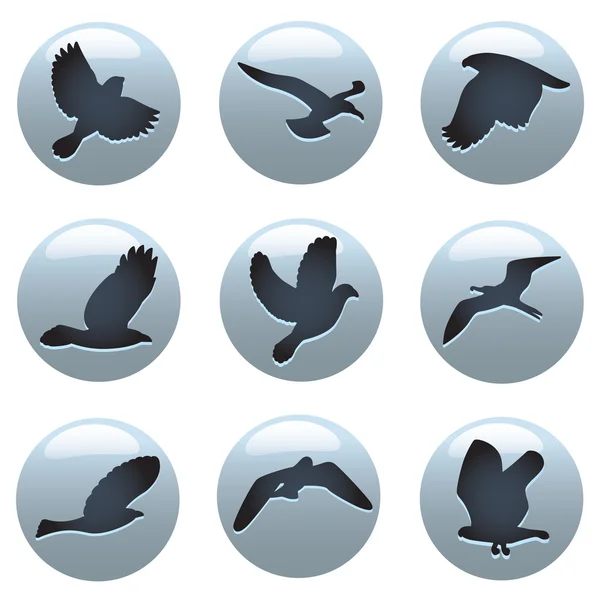 Набор икон птиц — стоковый вектор