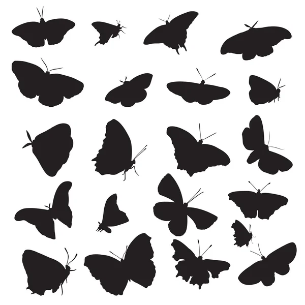 stock vector Silhouettes of butterflies