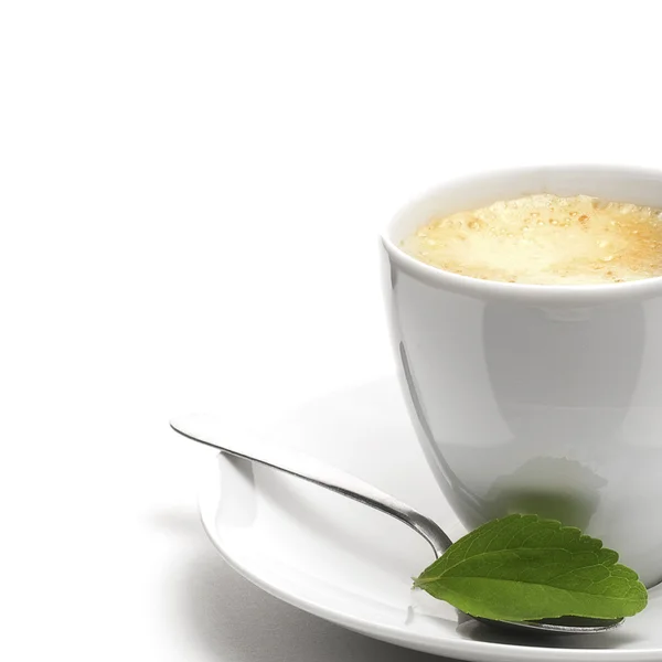 Stevia planta e xícara de café fundo decorativo — Fotografia de Stock