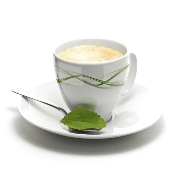 Stevia plant en koffie beker decoratieve achtergrond — Stockfoto