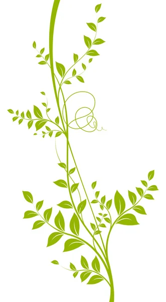 Elemento decorativo. Liana verde — Foto de Stock