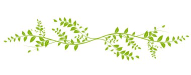  design element, green natural liana clipart