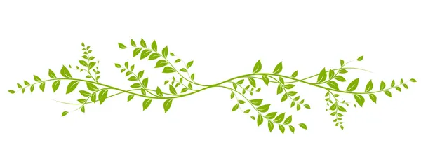 Design element, green natural liana — Zdjęcie stockowe