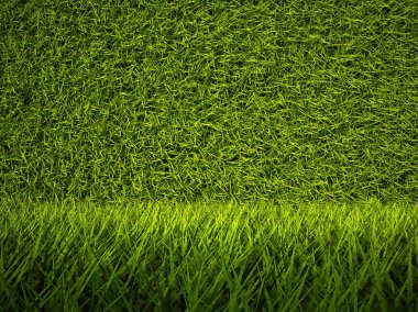 3d green grass texture, background clipart