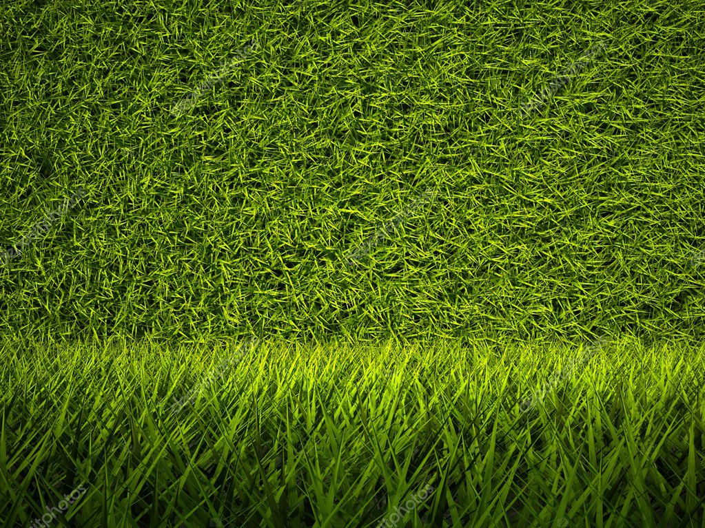 Với hình nền cỏ xanh 3D, bạn sẽ có cảm giác như mình đang ngồi giữa bãi cỏ rộng lớn với đầy đủ chi tiết và độ sắc nét. Ảnh nền này sẽ giúp bạn nghỉ ngơi và tìm lại sự tập trung cần thiết để hoàn thành công việc trong ngày.