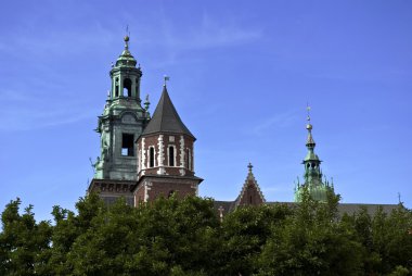 Katedral wawel Kalesi