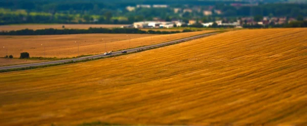 Campo di grano maturo con strada — Foto Stock