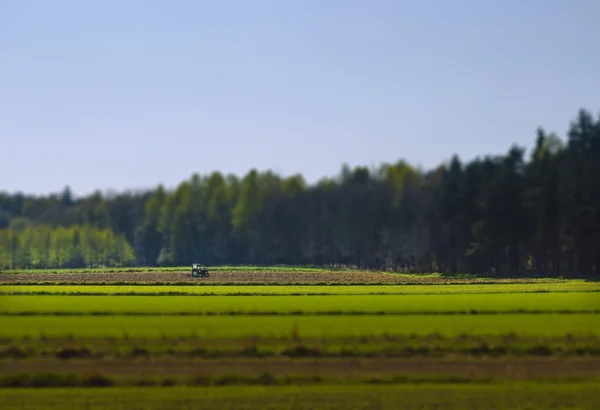 Трактор на зеленом поле, сдвиг наклона — стоковое фото
