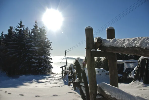 Winterlandschaft und häusliche Umgebung — Stockfoto