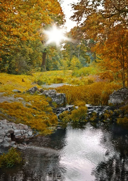 Hösten skogen och ström, natursköna landskapet — Stockfoto